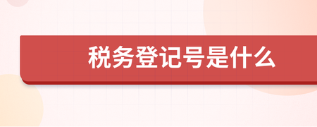 税务登记号是什么